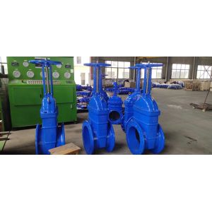 Flanged F4 Gate Valve Soft Resilient Seated Brass Nut Type