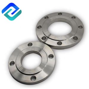 DN100 Stainless Steel Flanges Pipe 316L WN Threaded Investment Casting