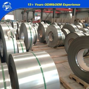 316 Stainless Steel Belt/Band/Coil/Strip for Quick Delivery and Customized Size