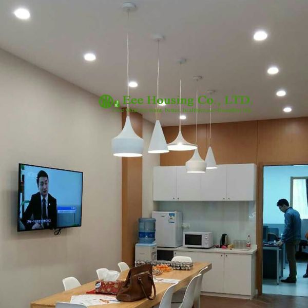 CE/UL listed Modern Unique black/white pendant lamp chandelier lighting