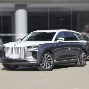 Super luxury electric SUV Hongqi E-HS9 2021 2022 white and black de-stocking and