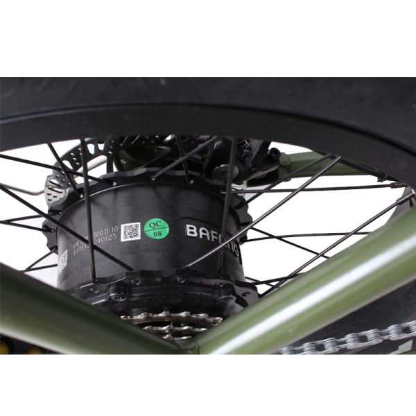 DOMANCA Standard Fat Tire Electric Bike with 2 Seat Lithium Battery Power Supply