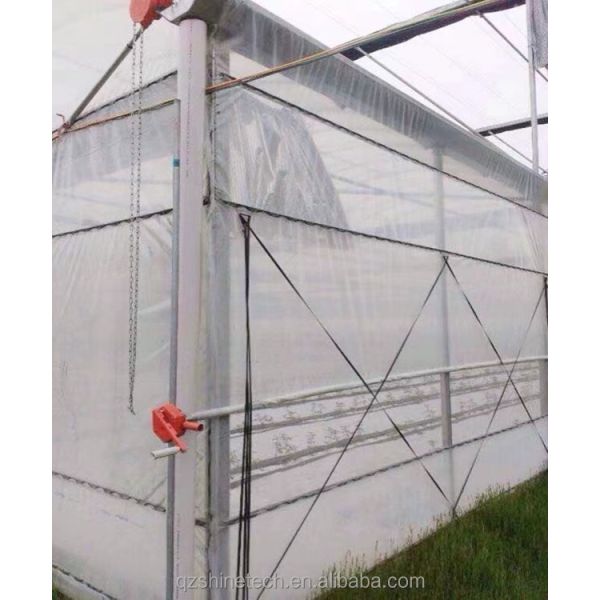 Greenhouse Film Band 200m 250m 300m Length For Agriculture Greenhouse