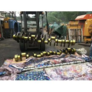 High Performance 3116 Industrial Diesel Engine Crankshaft 4892731