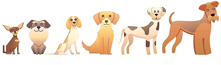 Woven Logo Puppy Flashing Collar