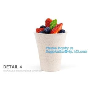 Custom Disposable Clear Cold Drink Juice Cup 100% Ecofriendly Biodegradable