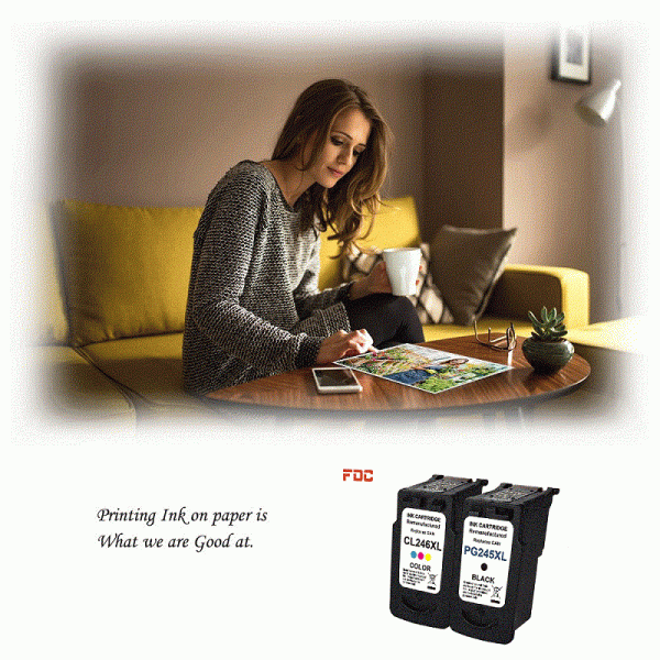 PIXMA IP2820 MG2420 Printer Rebuilt Ink Cartridges Canon PG 245XL Replacement