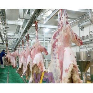 Stainless Steel 304 Slaughterhouse Cow Machine Polyurethane Rubber Hair Plucking