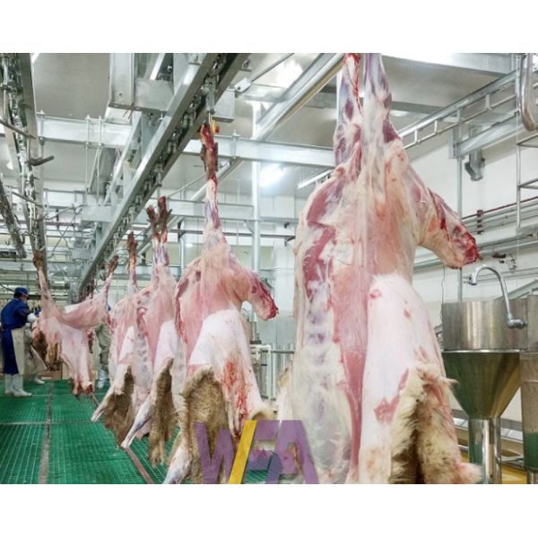 Stainless Steel 304 Slaughterhouse Cow Machine Polyurethane Rubber Hair Plucking