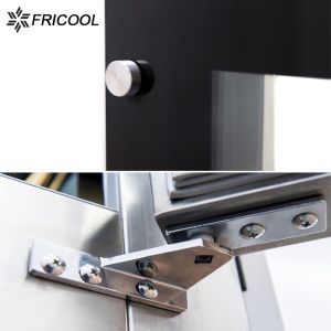 14 CU.FT Refrigeration Showcase R134a Secop Cake Display Fridge