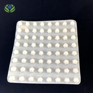 Customized 8-30mm HDPE Plastic Storage Drainage Board for Greenroof Membrane