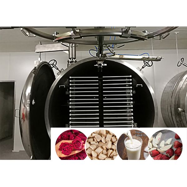 Industrial Vacuum Lyophilizer Freeze Dryer 100Kg/Batch