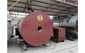 1.0MPa Hot Oil Boiler Environmental Internal Combustion Energy Saving