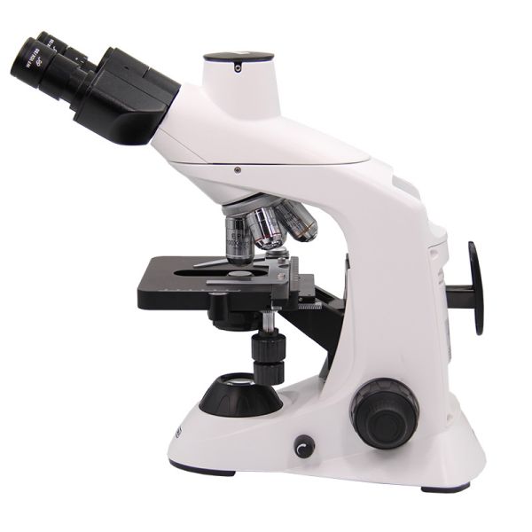 Buy OPTO-EDU A12.6603-T Compound Optical Microscope Biological High Precision at wholesale prices