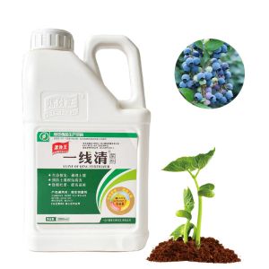 Seaweed Extract Soil Conditioner Fertilizer Provide Nutritions And Healthy For
