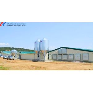 Prefabricated Lightweight Steel Structure Chicken House Shed with ISO9001 CE