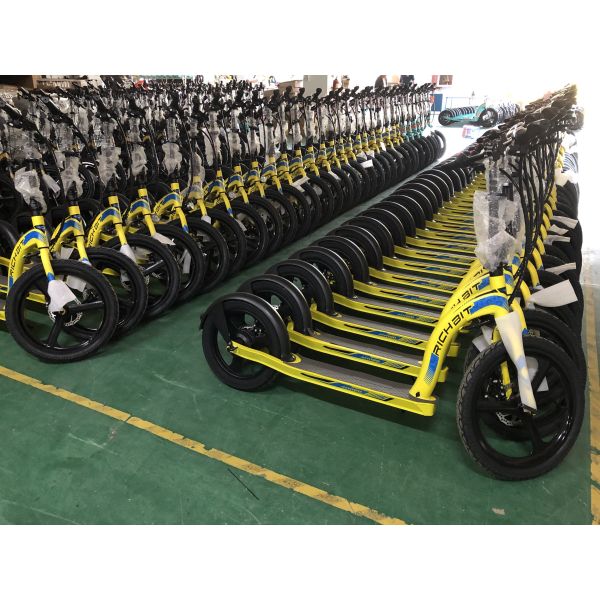 Front 20inch Rear 16inch Adults Electric Scooter 250w 36v Lithitum Battery