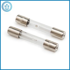 Quick Acting High Voltage Fuse 800 / 850 / 900mA 5KV For Microwave Oven