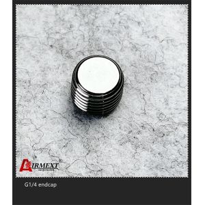 China G1/4 Stainless Steel ENDCAP Quick Connect Air Fittings on sale