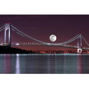 Prefabricated Wire Suspension Bridge Multi Span Customized Construction European