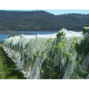 Quality Anti-hail HDPE Agricultural Netting for sale
