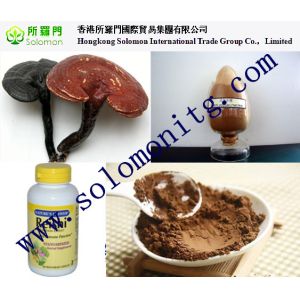 Quality high quality Ganoderma lucidum Extract/ Reishi Extract/Reishi Mushroom Extract for sale