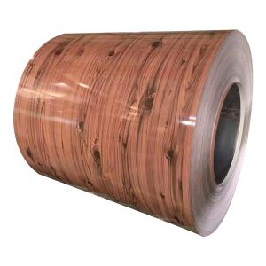 Customized PPGI Steel Coil 2000mm 2440mm Prepainted Galvanized Steel Coils