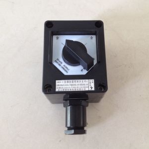 Rotary Anti Corrosion Explosion Proof Light Switch For Outdoor / Indoor