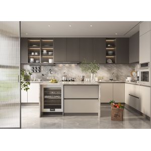 Modern Modular Kitchen Cabinet MDF Plywood Storage