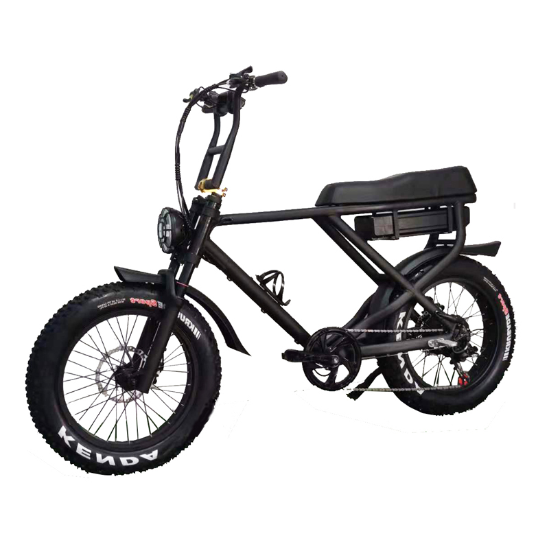 Disc Brake Electric Bike 2022 Version Snow Beach Fast Speed Customized E Bicycle 2 Seats