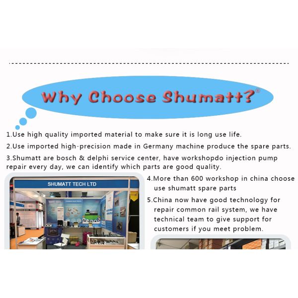 Genuine CR Shumatt Injector Valve plate 295040-6690 for diesel fuel engine