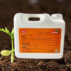 5kg Affordable Water Soluble Lawn Fertilizer Promote Plant Health