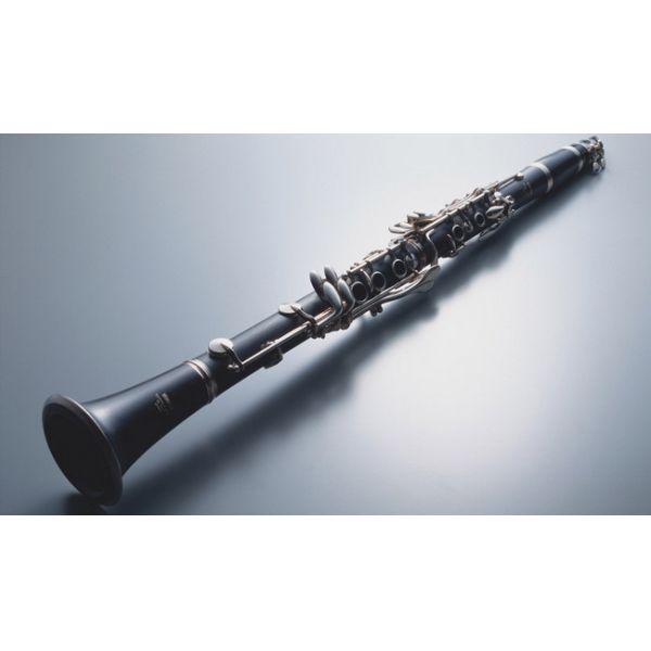 constansa instrumentProfessional Performance Level Ebony Wood Silver Plated 18