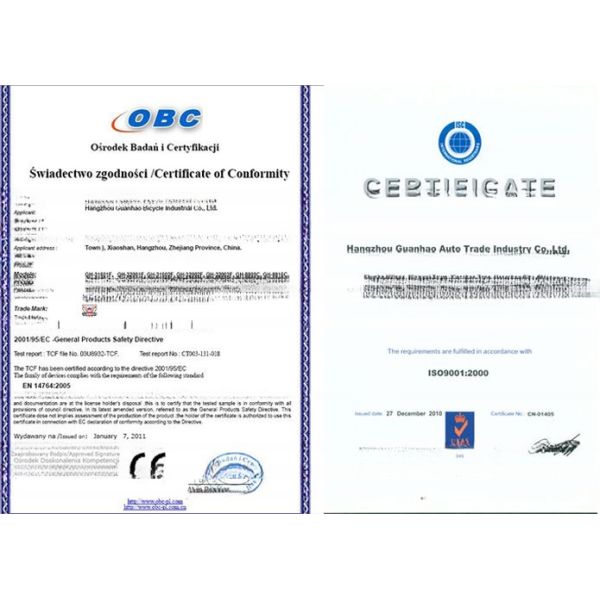 20 Inch Steel Material Frame Chopper Bike with F Disc Brake and R Coaster Brake