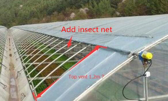 Good Ventilation Polyethylene Film Greenhouse With Manual / Electric Windowing