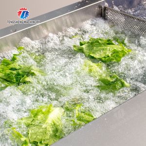 Vegetables bubblewashing machine Leaves Vegetables Onions Leafy vegetables