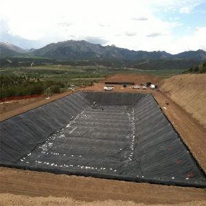 Customized 1.0mm HDPE Geomembrane Pond Liner for Shrimp Ponds and Dam Constructi