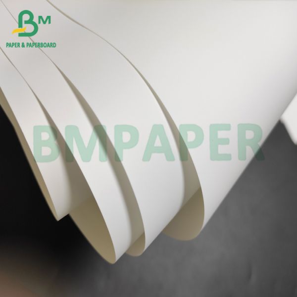 200um Poster Paper Satih Matte Finish Waterproof Tear Resistant