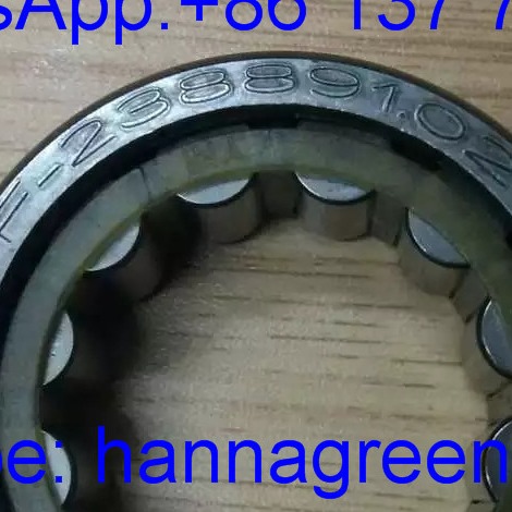 F-238891.02 / F23889102 Single Row Cylindrical Roller Bearing / Gearbox Bearing 32*53.5*19.5mm