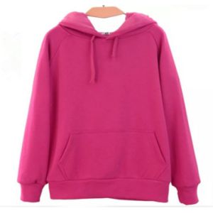 High quality of durable and good thermal for casual sportwear hoodie velboa