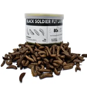 Quality Boost Your Insect Feed with Dried Black Soldier Fly Availability Widely Available for sale