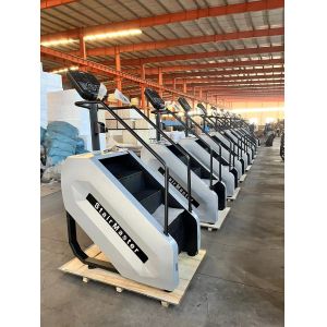 Aerobic Metabolism Gym Stair Climber Machine 220V For Rehabilitation