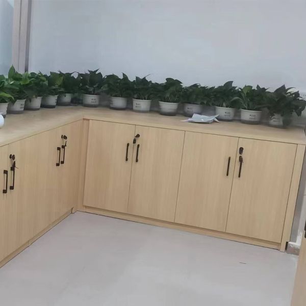 Office Furniture File Storage Cabinet Wooden Filing Cabinet With 2 Door