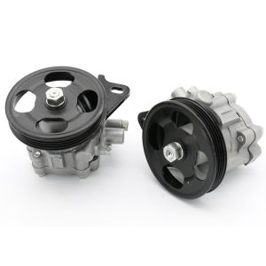Nissan Almera Power Steering Pump , 49110-0M000 Auto Power Steering Pump
