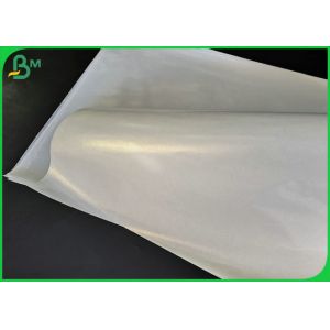Moisture Proof 40gsm + 10gsm PE One Side Coated White Food Grade Paper Roll For