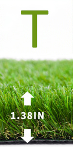 Artificial Grass