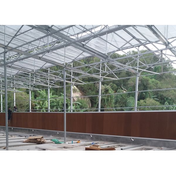 9.6m Tunnel Width Polycarbonate Greenhouse for Sustainable Agricultural Practices