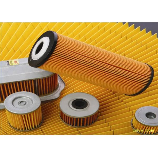 Truck Parts And Accessories SINOTRUK Fuel Filter WG9112550002 for Diesel engine