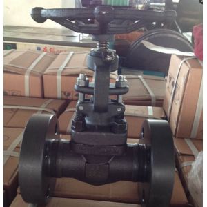 A105N 1500LB ANSI forge gate valve manufacturer