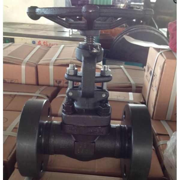 Buy A105N 1500LB ANSI forge gate valve manufacturer at wholesale prices